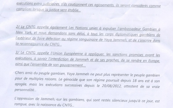 Sheikh Sidia Bayo lance le Conseil national de transition pour la Gambie