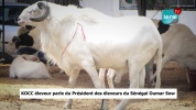 kocc eleveur a oumar sow (1).mp4