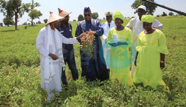 Tournées économiques: Saint-Louis, la ville tricentenaire se prépare à accueillir le Président Macky Sall