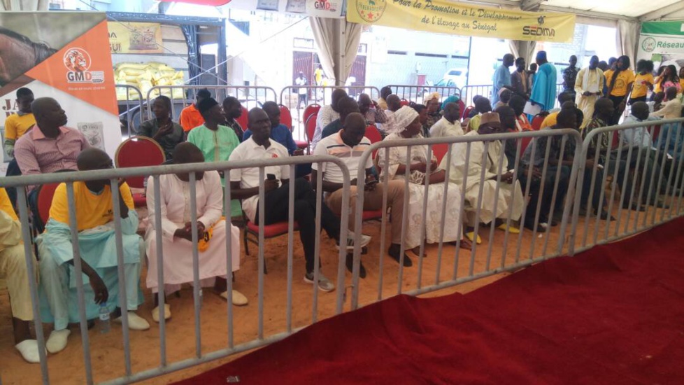 Cérémonie de remise de géniteurs Ladoum aux éleveurs de Diourbel,  Bambey et Gueoul par le Réseau National des Eleveurs du Sénégal (RENADES) 