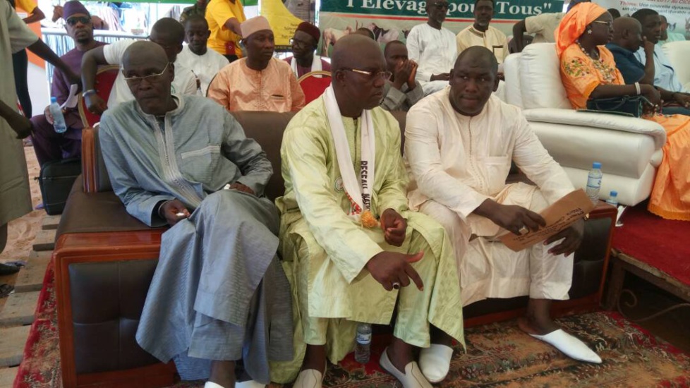 Cérémonie de remise de géniteurs Ladoum aux éleveurs de Diourbel,  Bambey et Gueoul par le Réseau National des Eleveurs du Sénégal (RENADES) 