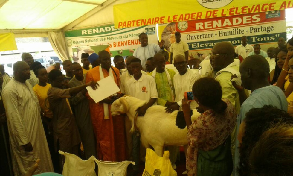 Cérémonie de remise de géniteurs Ladoum aux éleveurs de Diourbel,  Bambey et Gueoul par le Réseau National des Eleveurs du Sénégal (RENADES) 