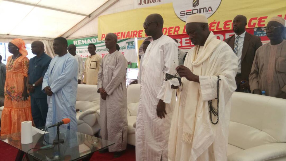 Cérémonie de remise de géniteurs Ladoum aux éleveurs de Diourbel,  Bambey et Gueoul par le Réseau National des Eleveurs du Sénégal (RENADES) 