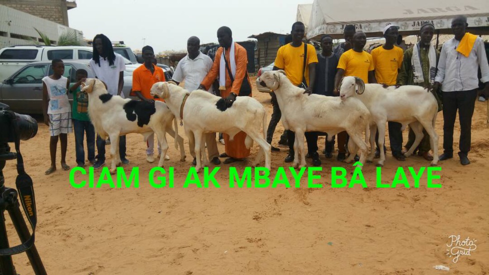 Cérémonie de remise de géniteurs Ladoum aux éleveurs de Diourbel,  Bambey et Gueoul par le Réseau National des Eleveurs du Sénégal (RENADES) 