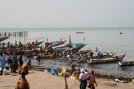 Thon rouge: protéger l'espèce ou les pêcheurs, la France prolonge la réflexion