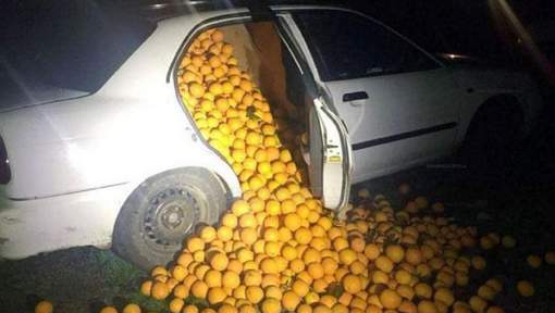 Les voleurs transportaient quatre tonnes d'oranges