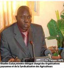 « Khadim Gueye, ministre de l’Agriculture a fini de démontrer ses carences »