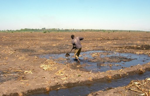 Des chefs d'Etat africains s'engagent à agir pour la sauvegarde du lac Tchad