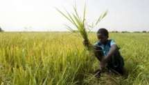 L’activité économique interne sénégalaise enregistre une croissance de 2,9 %