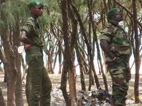 Attaque à main armée dans la région de Sédhiou