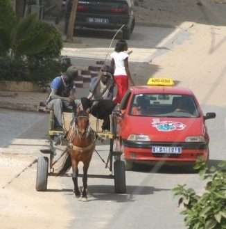 (SPECIAL MAGAL 2011) Profits collatéraux du Grand Magal de Touba : les charretiers non détenteurs de licence se  disputent la chaussée avec les véhicules malgré la menace  brandie par les Assureurs