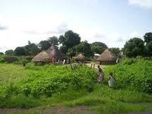 CASAMANCE : De violents accrochages opposent l’armée aux combattants du Mfdc depuis 5h du matin à Goudomp