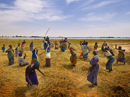 Sénégal: «La terre est notre seul espoir»