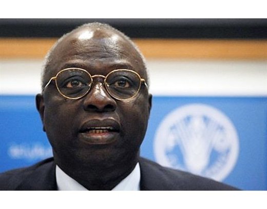 Jacques Diouf, directeur général de l'Organisation des Nations unies pour l'alimentation et l'agriculture (FAO)