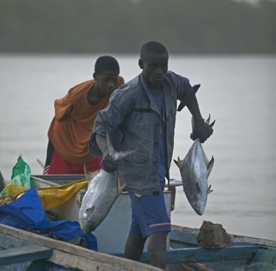 [Reportage audio] Cheikh Salla Ndiaye, président du Collectif national des diplômés de la pêche : « le secteur de la Pêche traverse la situation la plus dramatique de son existence »