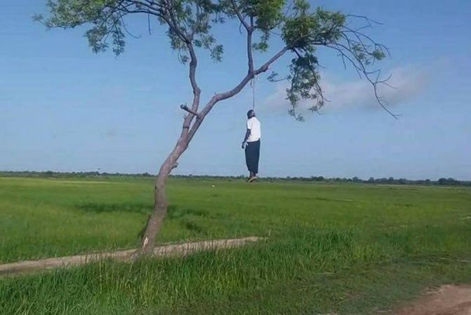 Linguère: un Malien retrouvé pendu à un arbre