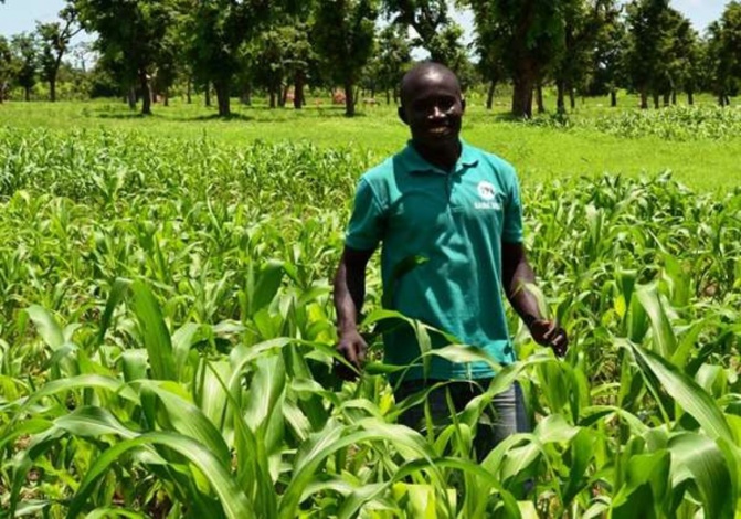 Agriculture familiale: le Cncr déplore le manque d’eau et de financement