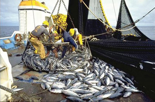 Calendrier républicain: Les travailleurs de la pêche réclament leur journée