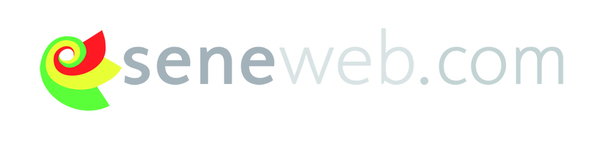 Internet : Seneweb.com lance lance sa plateforme de blogs