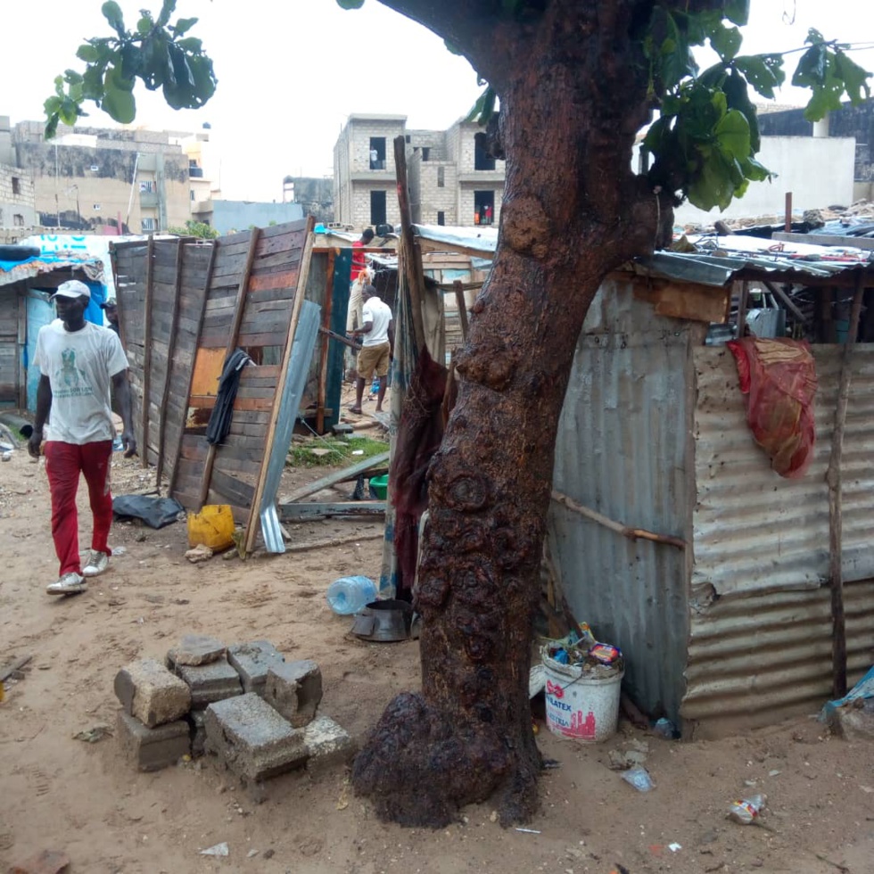 Photos : Destruction d’un ghetto à Dalifort