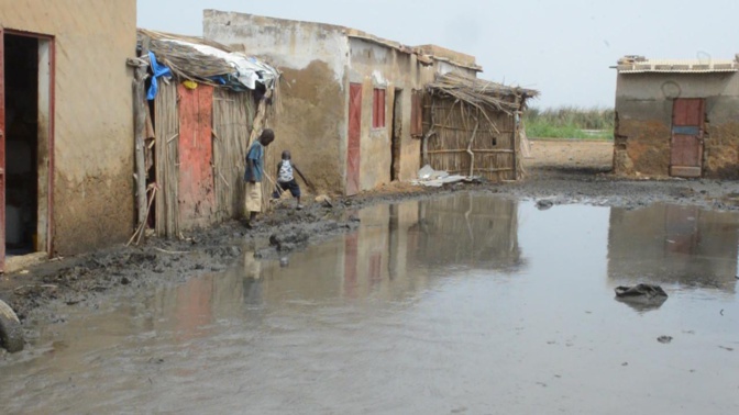 Pluies dans le Saloum : De nombreux dégâts notés dans le village de Keur Ndongo