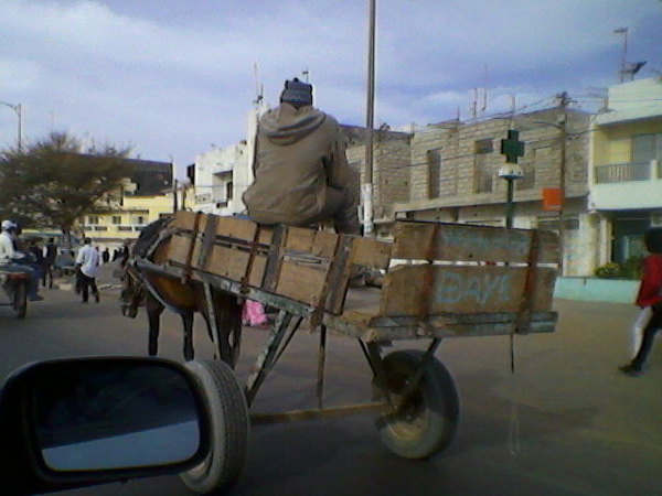 (Photos) Dakar encore à calèches...