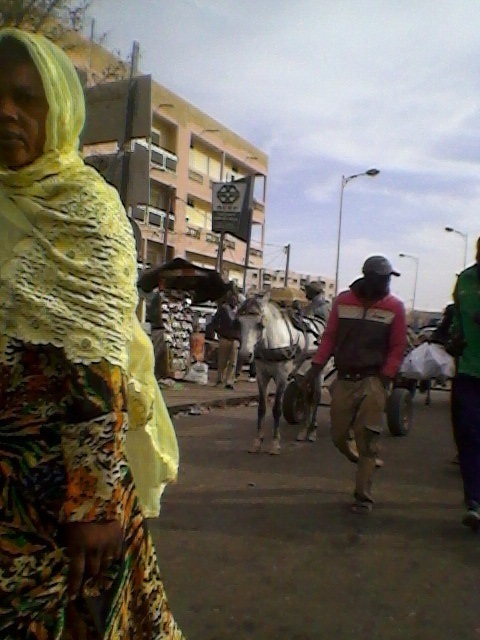 (Photos) Dakar encore à calèches...