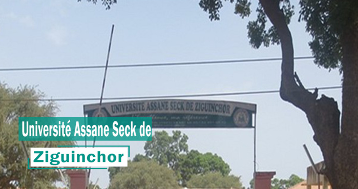 Université Assane Seck de Ziguinchor : le Sudes/Esr annonce une plainte contre le Recteur Courfia Kéba Diawara