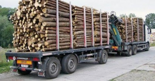 Coupe de bois de la Casamance : 117 milliards de FCfa volés au Sénégal par la Gambie