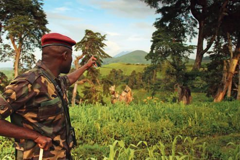 La guerre de retour dans la région des Grands Lacs