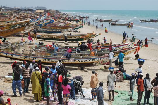 Le Sénégal interdit de pêche les chalutiers russes