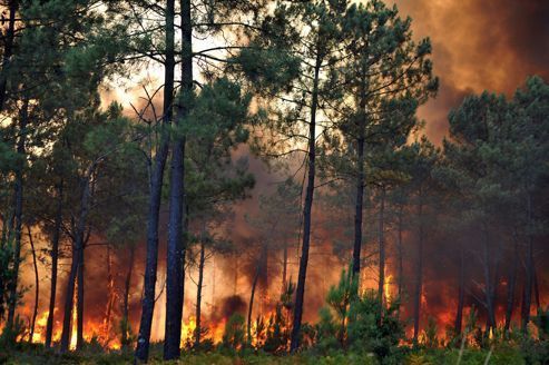 L'incendie de Lacanau est contenu