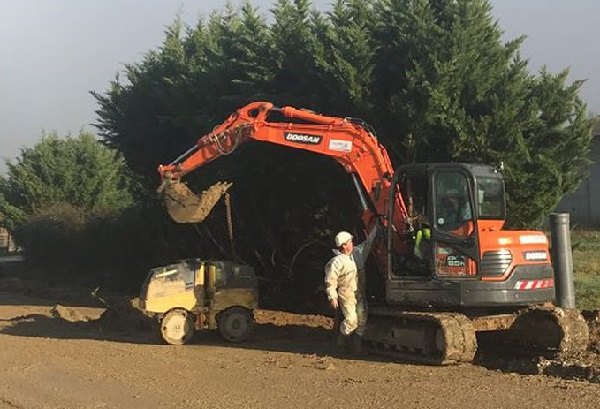 Le Plan Sénégal Emergent Vert en promotion: Pourtant des bulldozers rasent des arbres