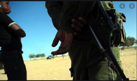 L’ECOMIG rapatrie les deux soldats sénégalais