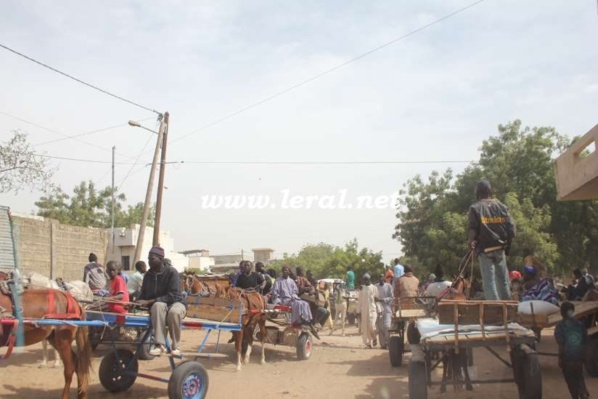 Des images marquantes de la 118e édition du Magal de Touba 