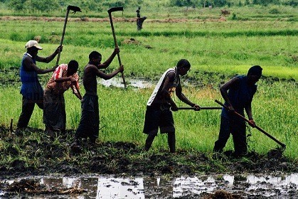 "L'Etat va équiper les agriculteurs", selon le ministre de l'Agriculture