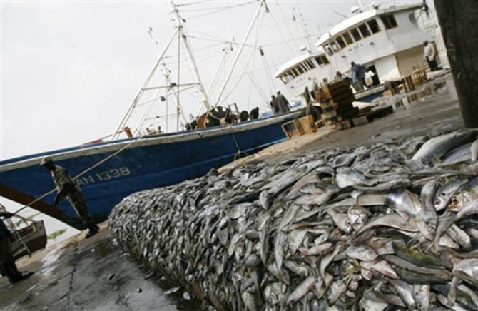 Pillage des ressources halieutiques: L'UE veut un nouveau partenariat de 10.000 tonnes de poisson par an