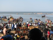 Licences de pêche Sénégal/Mauritanie : Dakar à l’écoute de Nouakchott