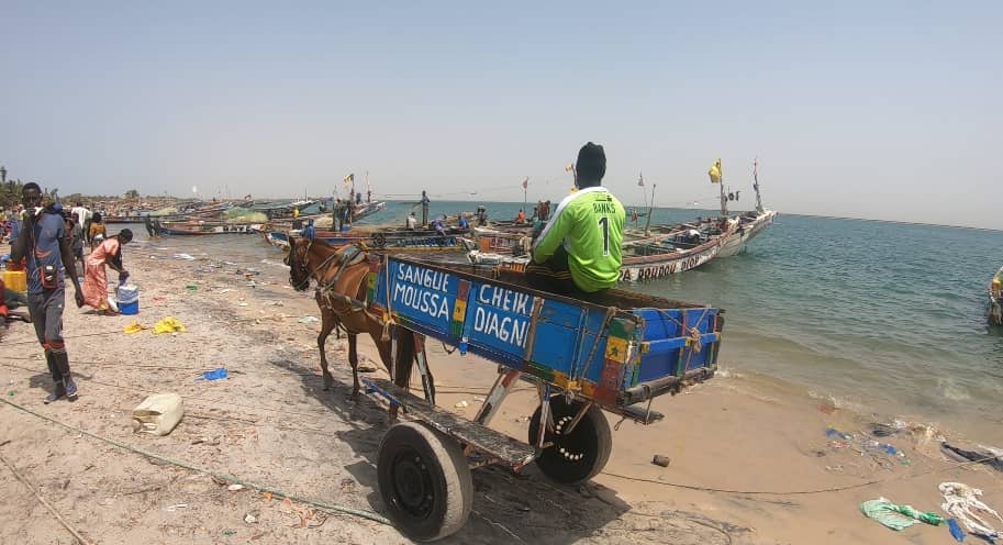 Djiffer, à la découverte du carrefour des pêcheurs