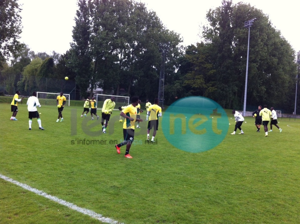 Les images du premier galop d'entraînement des "Lions" au complexe sportif d'Anderlecht à Bruxelles