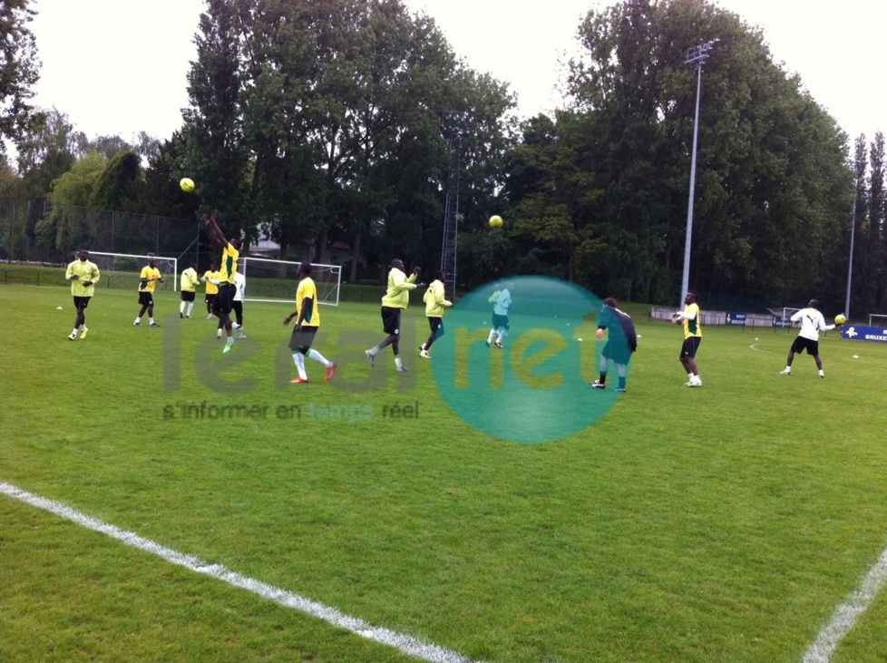 Les images du premier galop d'entraînement des "Lions" au complexe sportif d'Anderlecht à Bruxelles