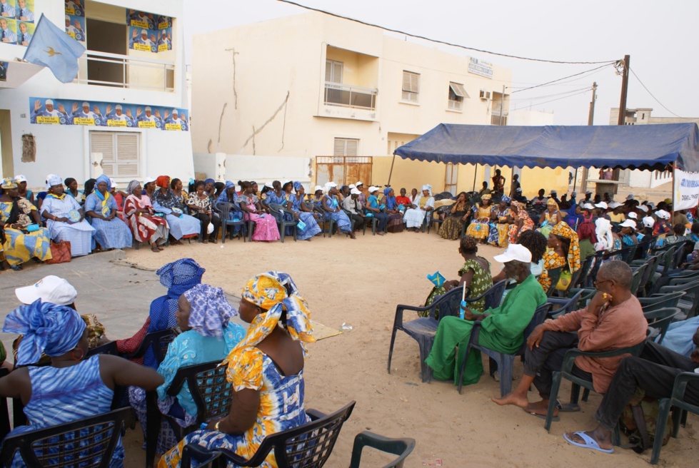 Meeting du Pds à Saint-Louis: Mayoro Faye en démonstration de force 