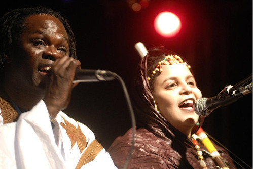 8ème édition du "Festival les blues du fleuve" : Pape Diouf, Pape & Cheikh et Coumba Gawlo étaient de la partie