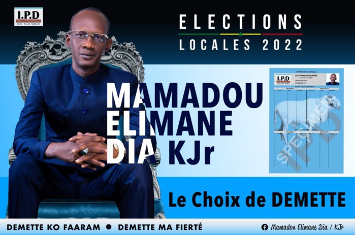 Commune de Démette : Mamadou Elimane Dia bat largement le candidat de Bby 