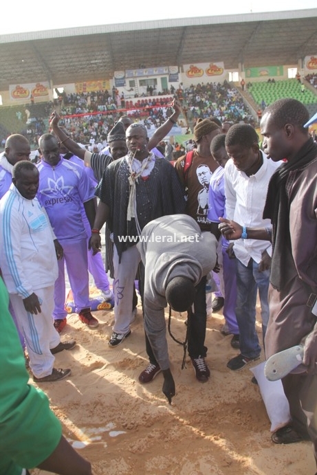 21 photos - Vendredi 31 janvier 2014: Une journée parfaite pour Modou Lô