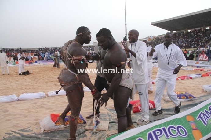 21 photos - Vendredi 31 janvier 2014: Une journée parfaite pour Modou Lô