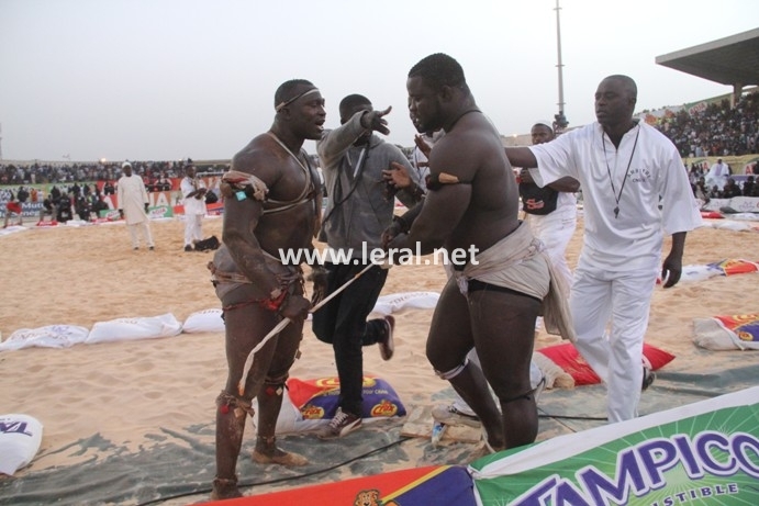 21 photos - Vendredi 31 janvier 2014: Une journée parfaite pour Modou Lô