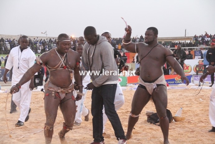 21 photos - Vendredi 31 janvier 2014: Une journée parfaite pour Modou Lô