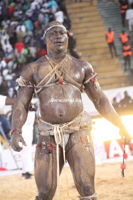 21 photos - Vendredi 31 janvier 2014: Une journée parfaite pour Modou Lô