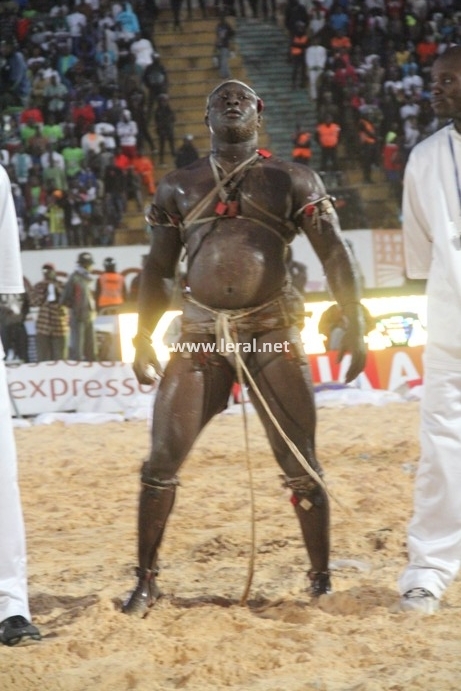 21 photos - Vendredi 31 janvier 2014: Une journée parfaite pour Modou Lô